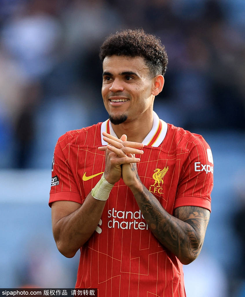 尽管输掉了 尽管输掉了